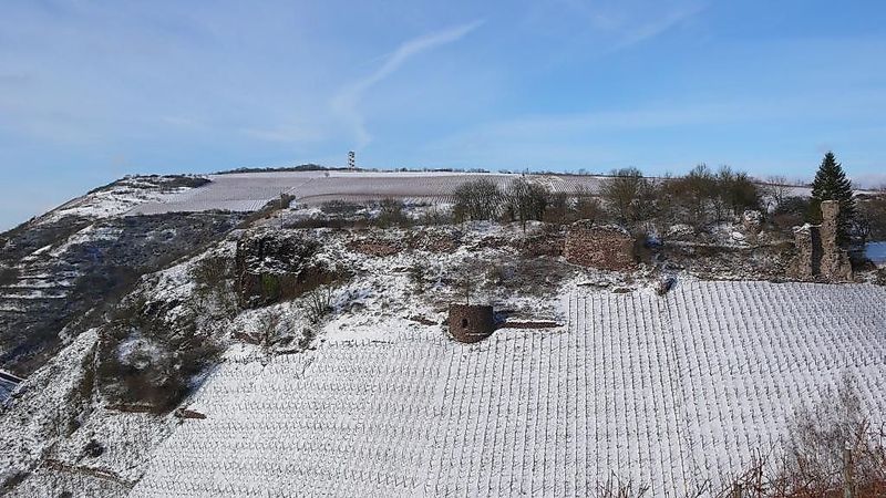 Weinwanderweg Rhein Nahe 2fehvw