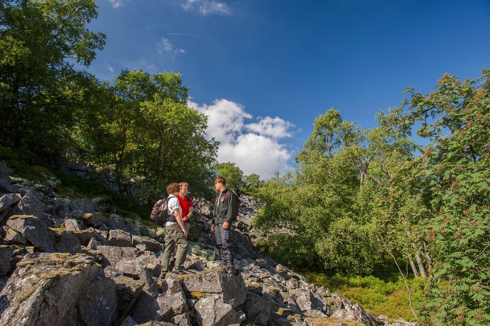 Nationalpark Traumschleife "Kirschweiler Festung" 2lmag3