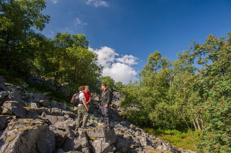 Nationalpark Traumschleife "Kirschweiler Festung" 2lmag3
