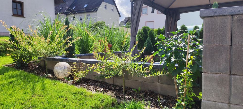 Ferienwohnung Bellevie 2lnumk
