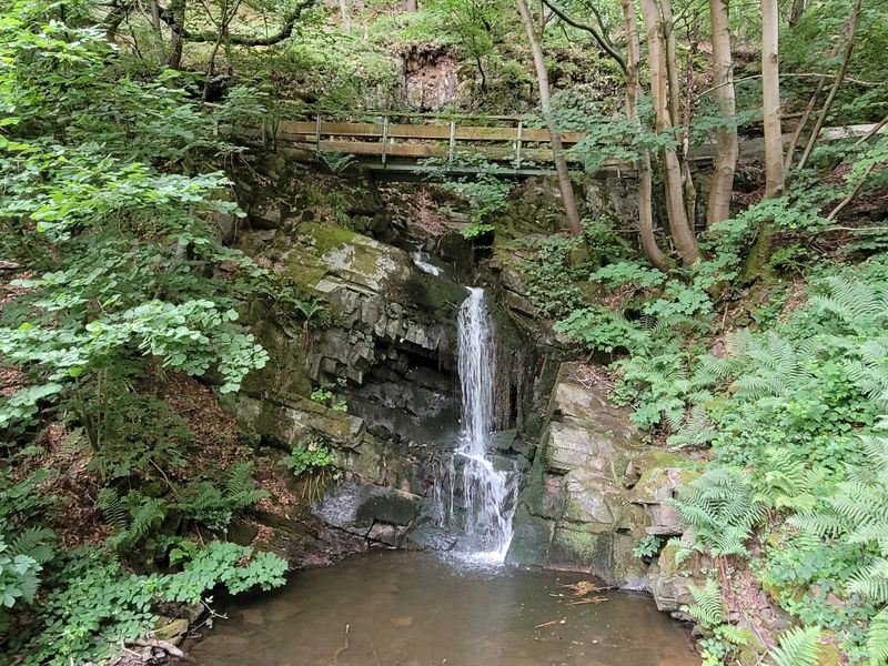 Saar Hunsrück Steig   02