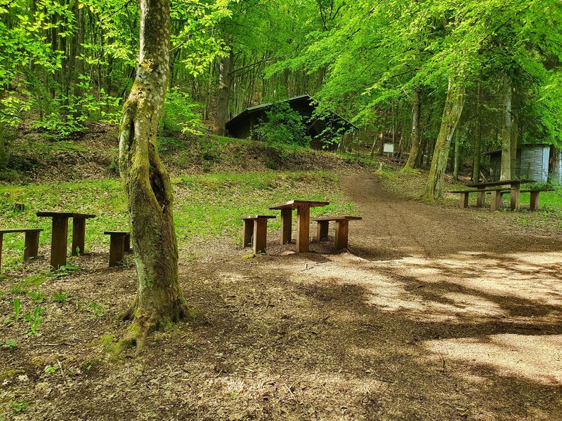 pois/rastplatz-rinzedell-8d53