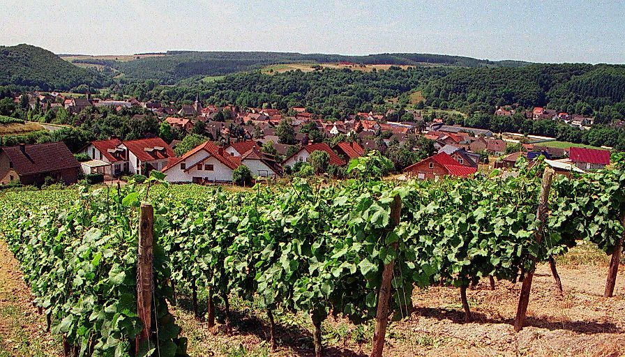 Ferienwohnung Stein 2mtwvq