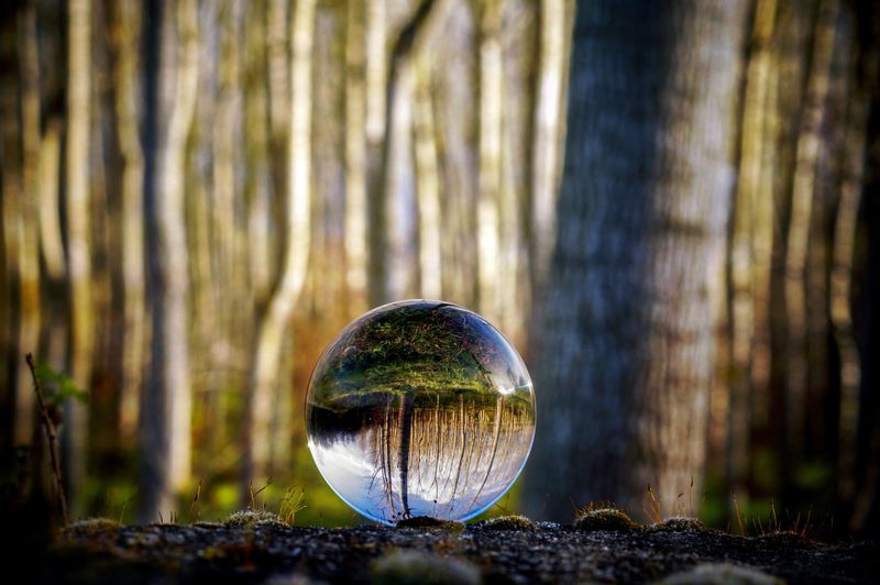 evenementen/qi-gong-in-de-winter-9b38