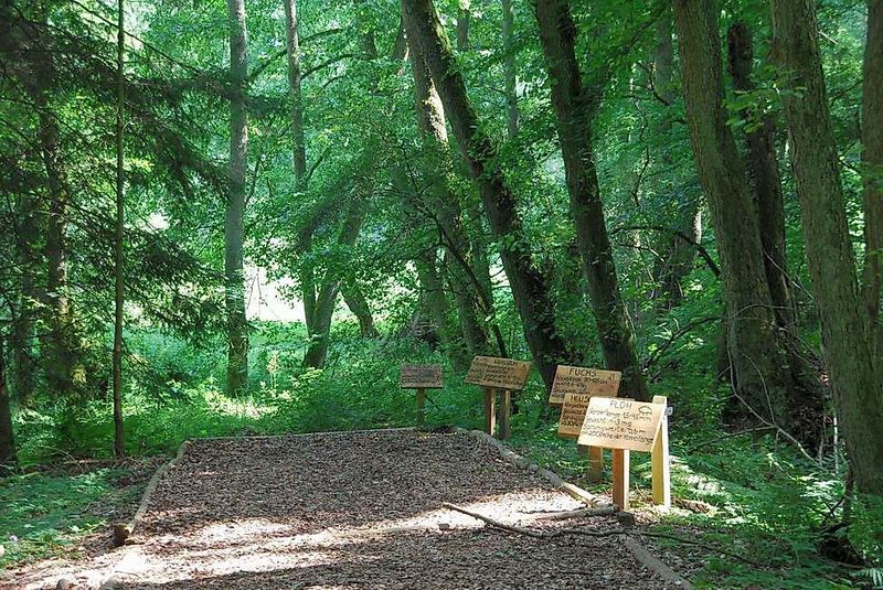 Traumschleife Soonwald 40eow8