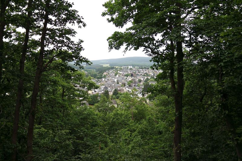 Saar Hunsrück Steig   15