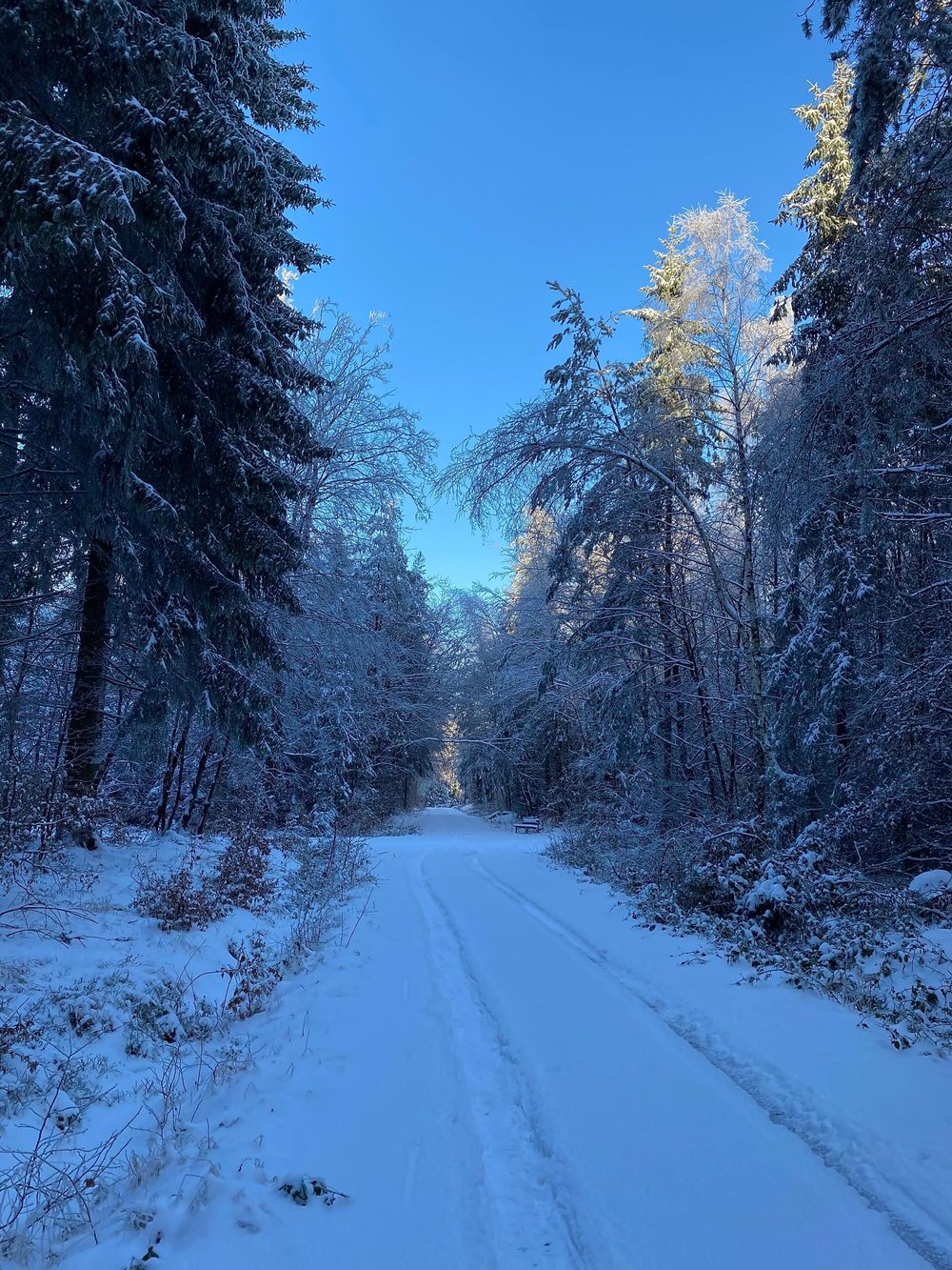 HunsrückGlück  Ferienhaus am Schinderhannes Radweg 2qu1kv