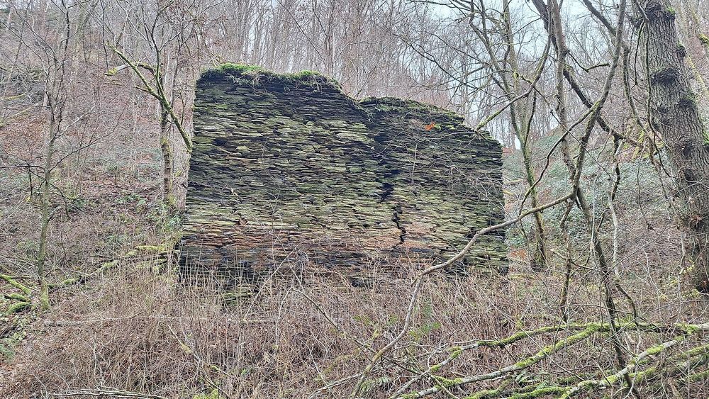 Mühlenruine an der Rauschenburg 2rg60a