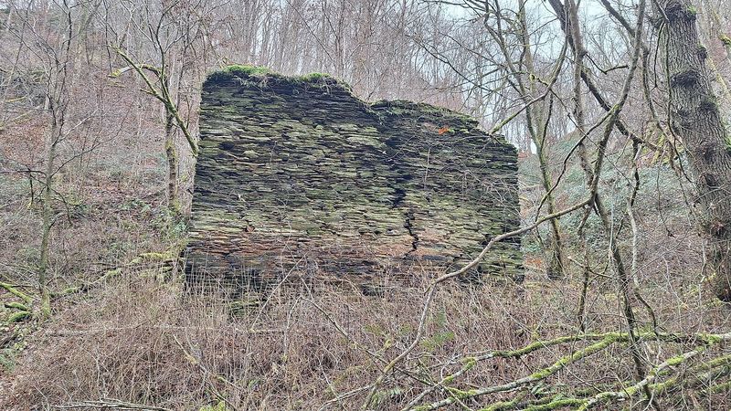 pois/muehlenruine-an-der-rauschenburg-xc2c3