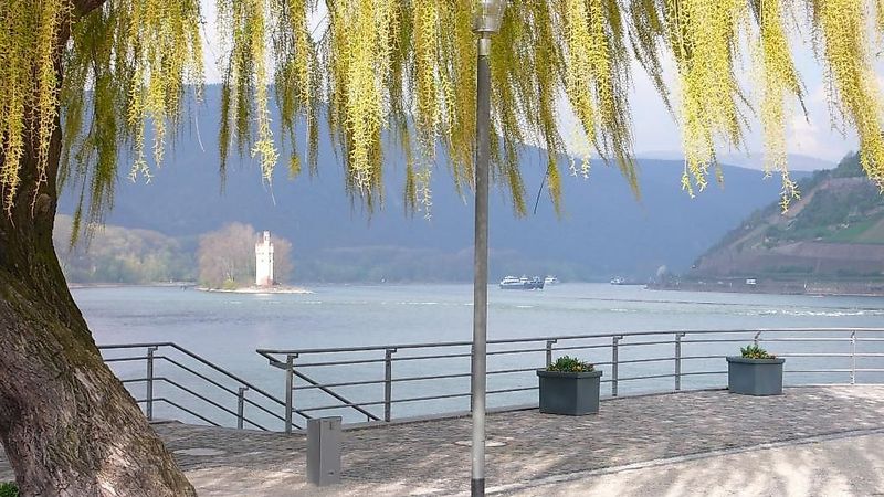 Weinwanderweg Rhein Nahe 2t2p7q