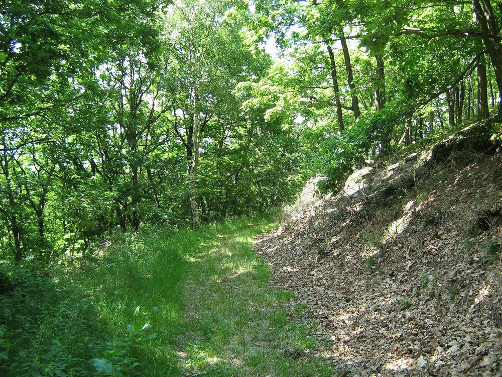 Winchendeller Weiher 2slfbh