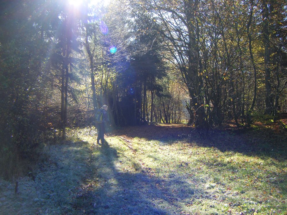 Vitaltour Willigisweg 2ssdbj