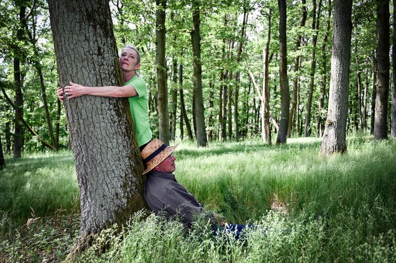 Soonwald für Suchende 4805d3