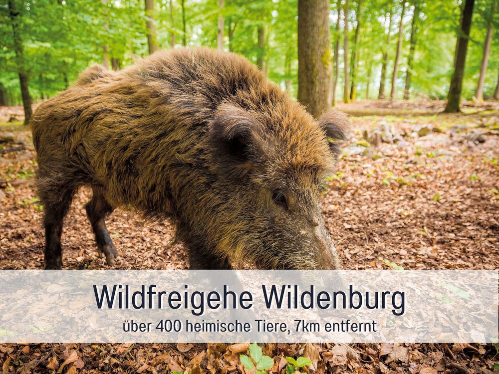 Naturchalet Zum Nationalpark "Franz" 2v4urk