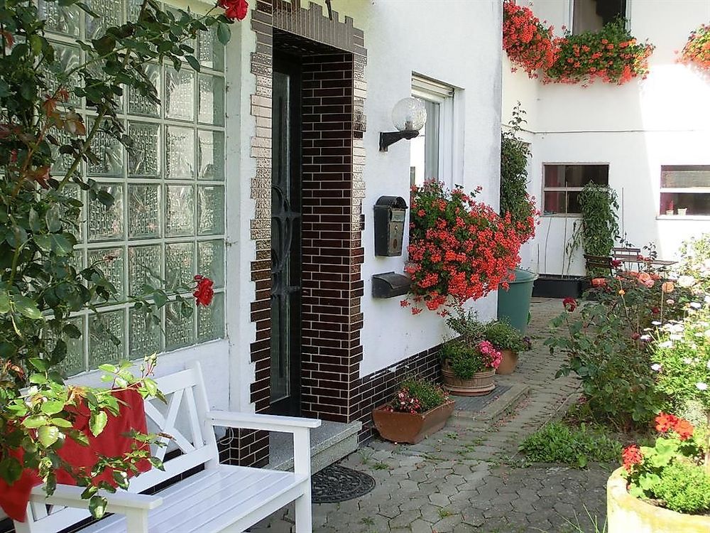 Lindenhof Hahn 46u26k