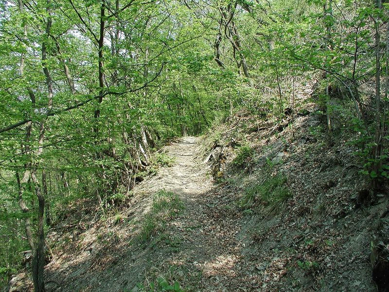 Schiefergrubenweg Lütz 47kigq