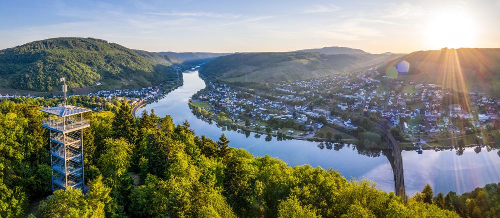 Weinkultur Radrundfahrt über Neef und Reil 2vfle5