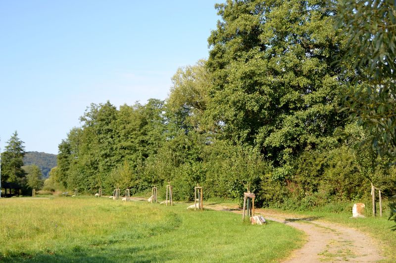 Gewässer Erlebnis Pfad Obere Nahe 2vuksl