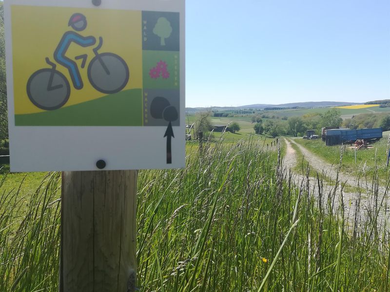 pois/forest-meadow-wacken-cycle-path-7e55