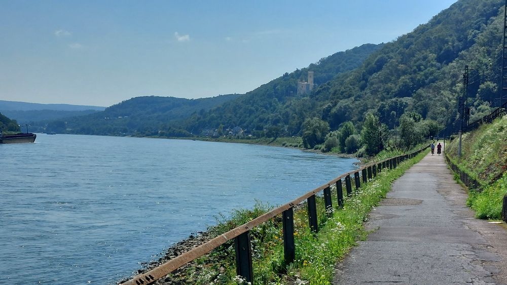 Radtour Welterbe Oberes Mittelrheintal   Nord 3ax88t