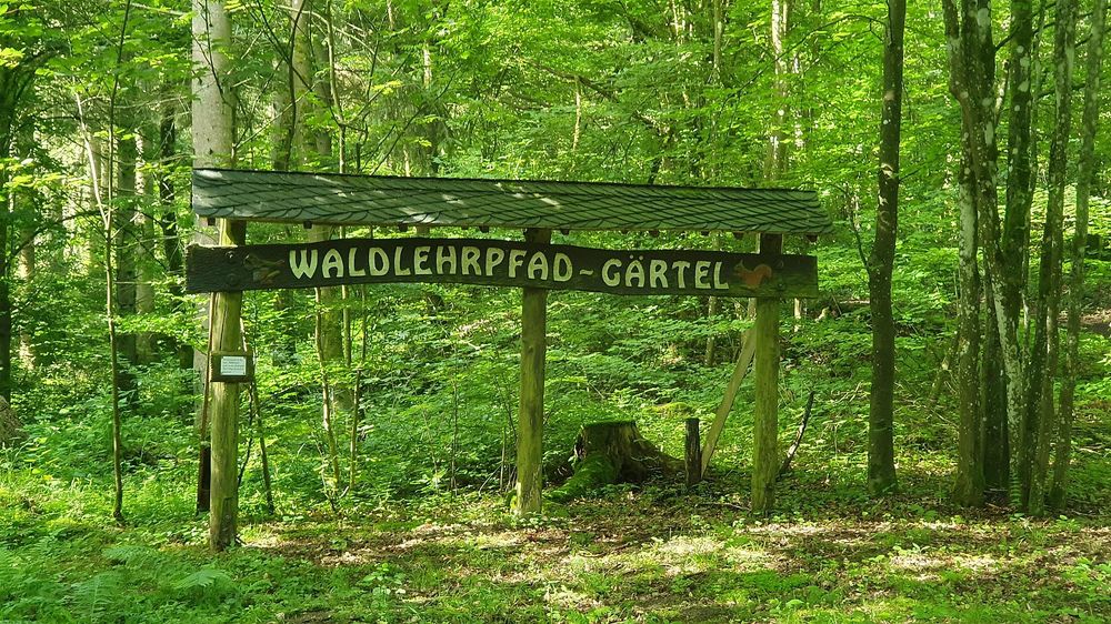 Waldlehrpfad Gärtel im Stadtwald Baumholder 3bw065