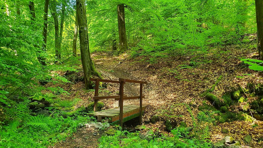 Traumschleife Bärenbachpfad Baumholder 3cskmd