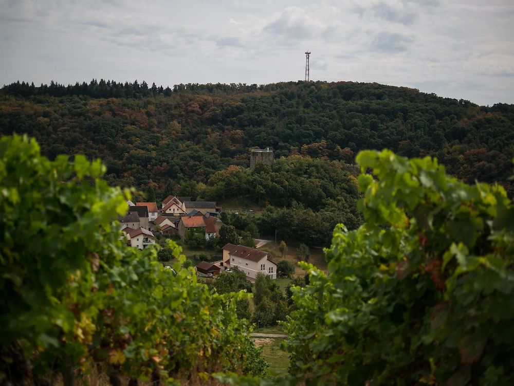 Weingut und Ferienappartement Erbacher Hof 3flmf9