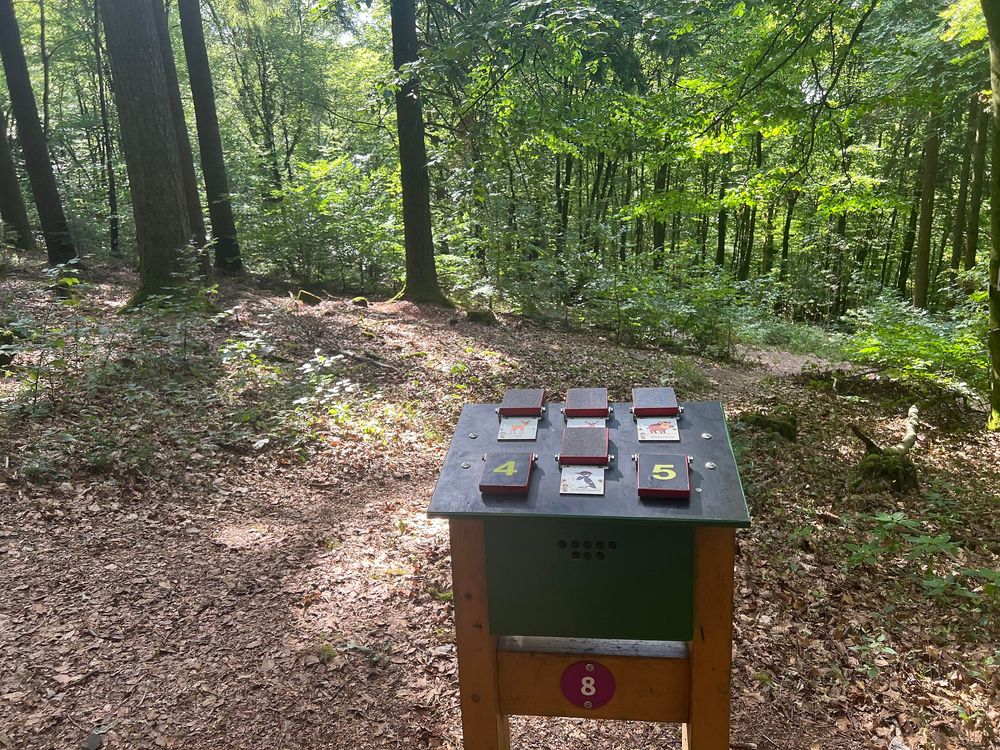 Ferienhäuser im Feriendorf Hambachtal 3h0et9