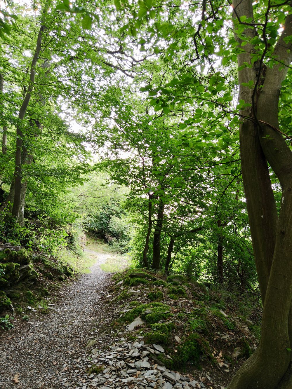 Rundwanderweg „Liebesschlucht“, Zell (Mosel) 3hg5go