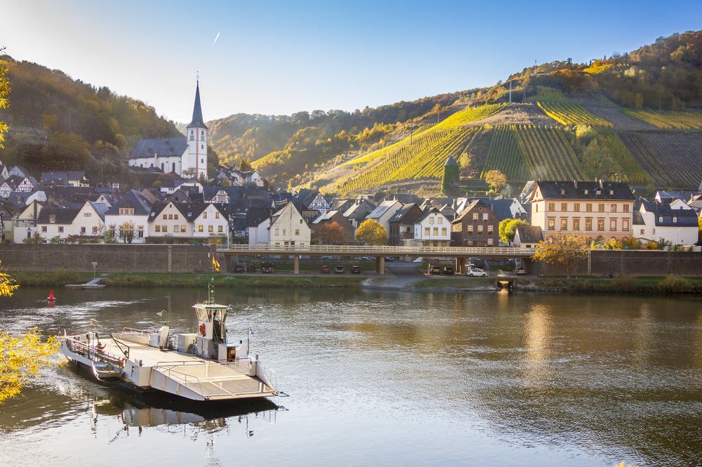 Mosel Radweg Zell (Mosel)   Bernkastel Kues 545voc