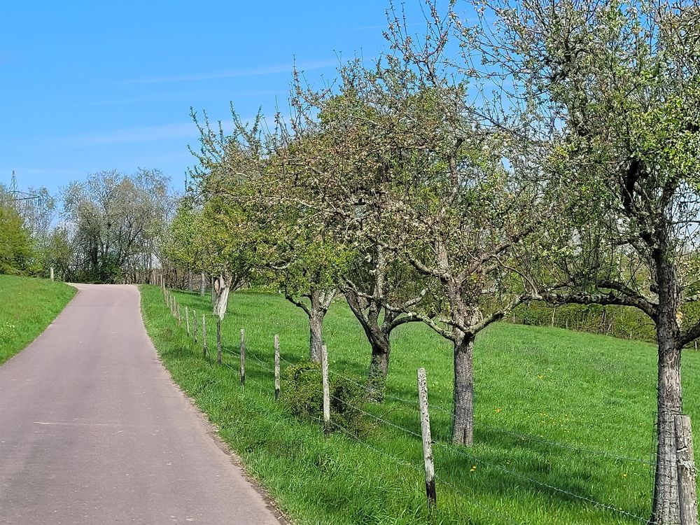 Ferienwohnung "Landblick" 557ovf