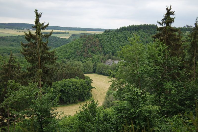 Saar Hunsrück Steig   15