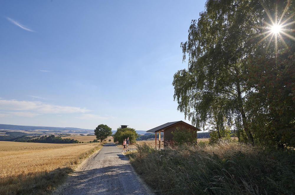Hütte Am Jakob Maria Mierscheid Weg 54zocg