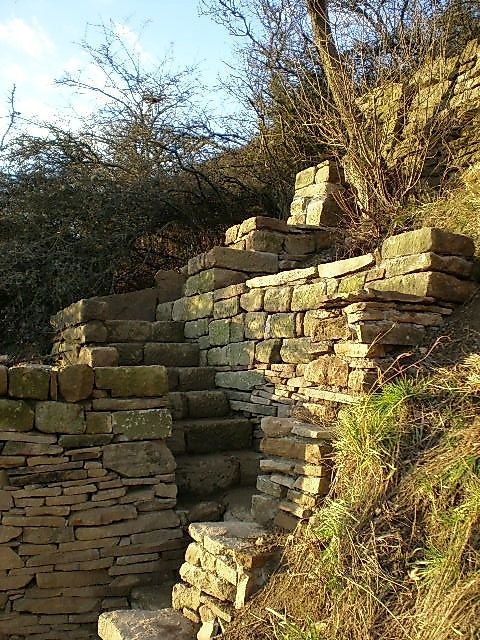 Weinbergsterrassen  und Orchideenpfad am Staudernheimer Hang 3sm8ij