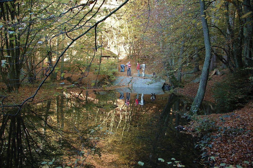 Traumschleifen Quartett im Baybachtal 56v4u4