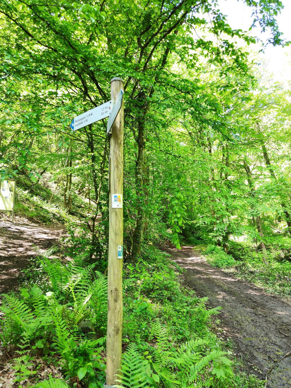 Moselsteig Seitensprung Felsen