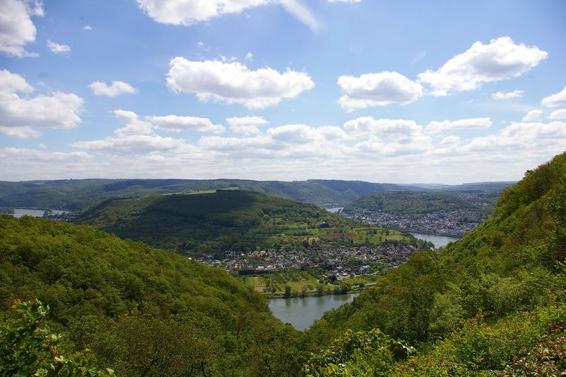 Welterbesteig Oberes Mittelrheintal Etappe 7 Boppard   Rhens 59v812