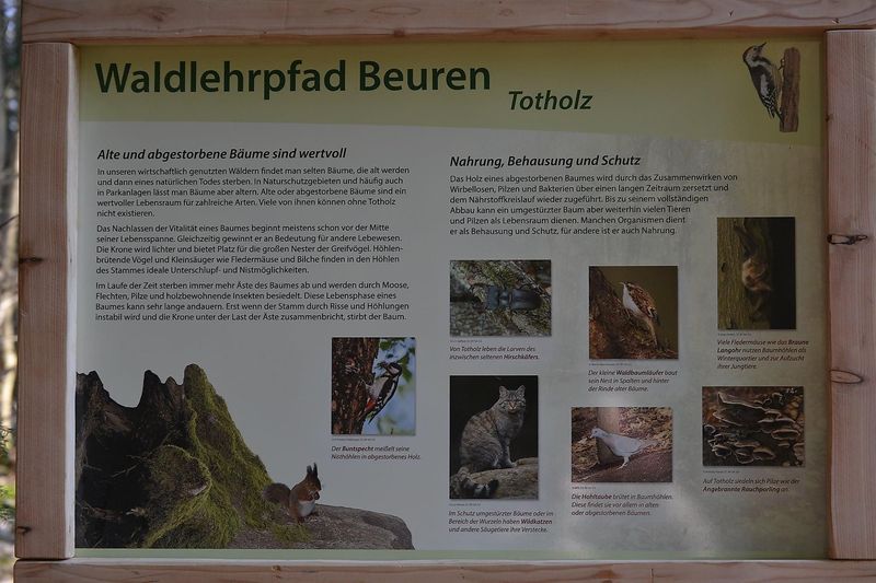 Naturerkundungspfad Beuren 59xad7