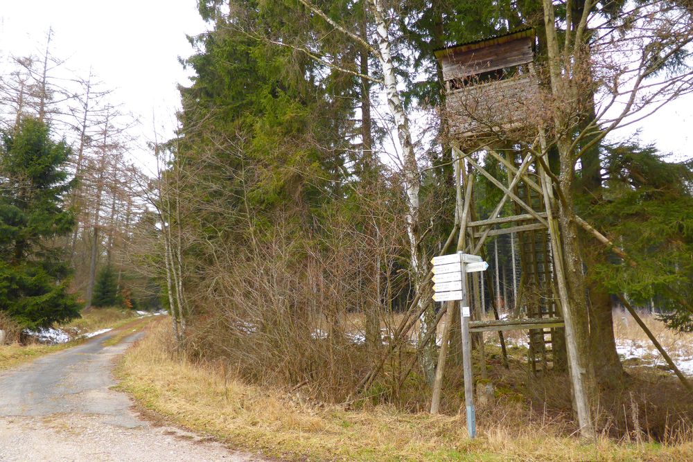 Soonwaldsteig   Zuweg Riesweiler 3zyrnh