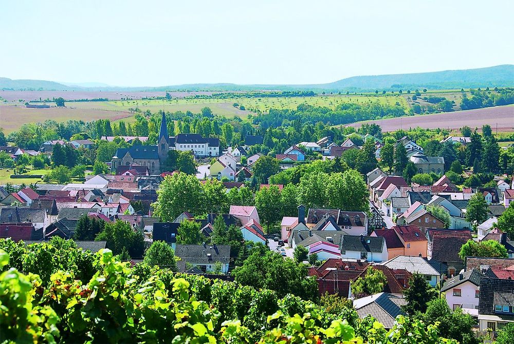 Weinsheim Rundweg "Weinwanderweg" 4b9rm8
