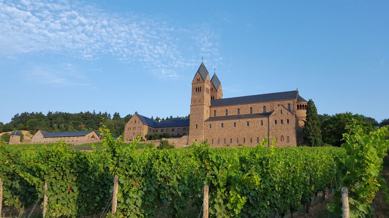 tochten/10-etappe-hildegard-xvon-bingen-pelgrimswandeling-der-ruedesheimer-hildegardweg-8abc