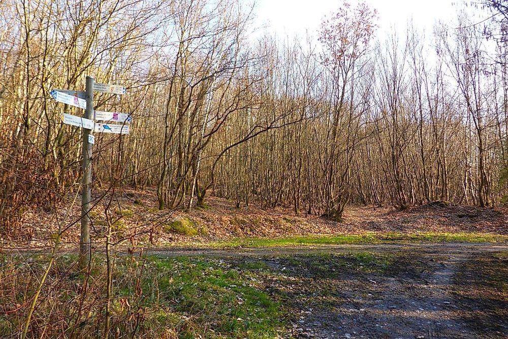 Soonwaldsteig   Zuweg Woppenroth 4bsqz7