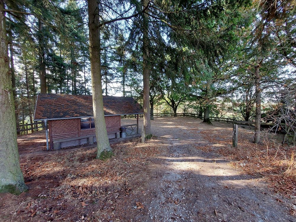 Grill  und Schutzhütte Fronhofen 4cehro