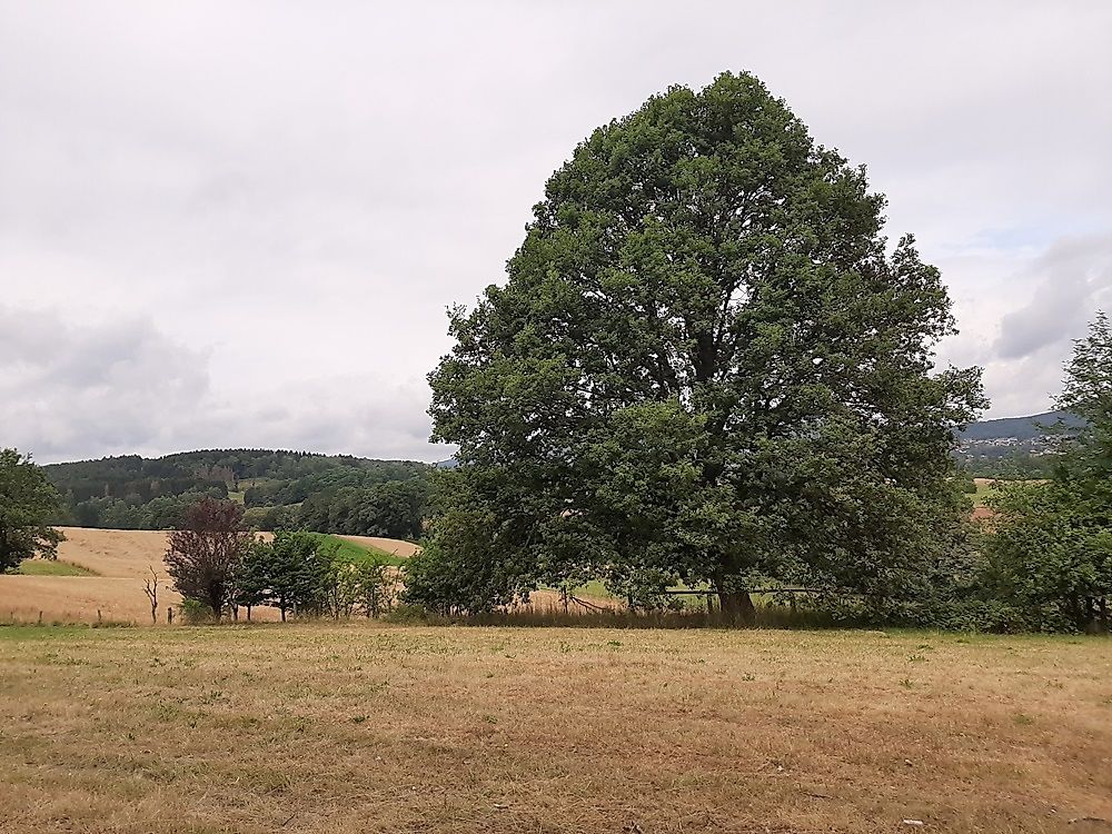 5 Weiher Tour 4cn92r