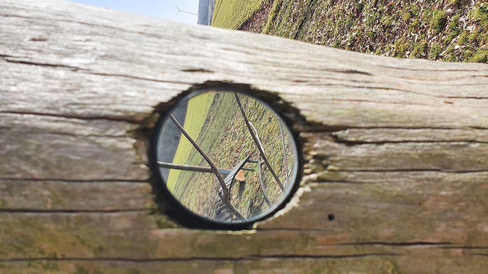 Geh Denke Weg: Spiegelbaum 4crrxf