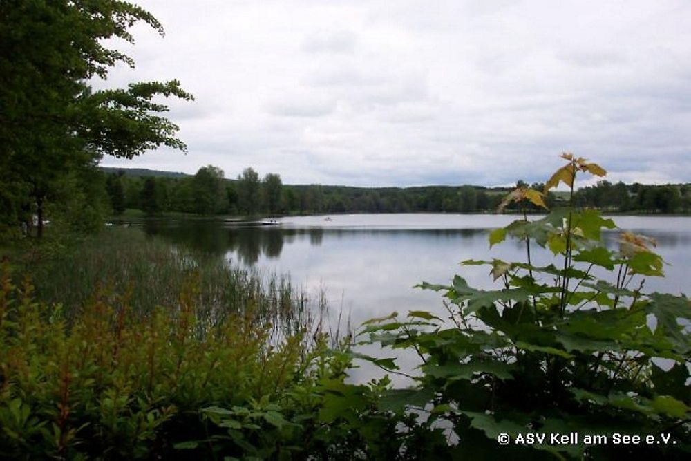 Angeln in Kell am See 4cvs0j