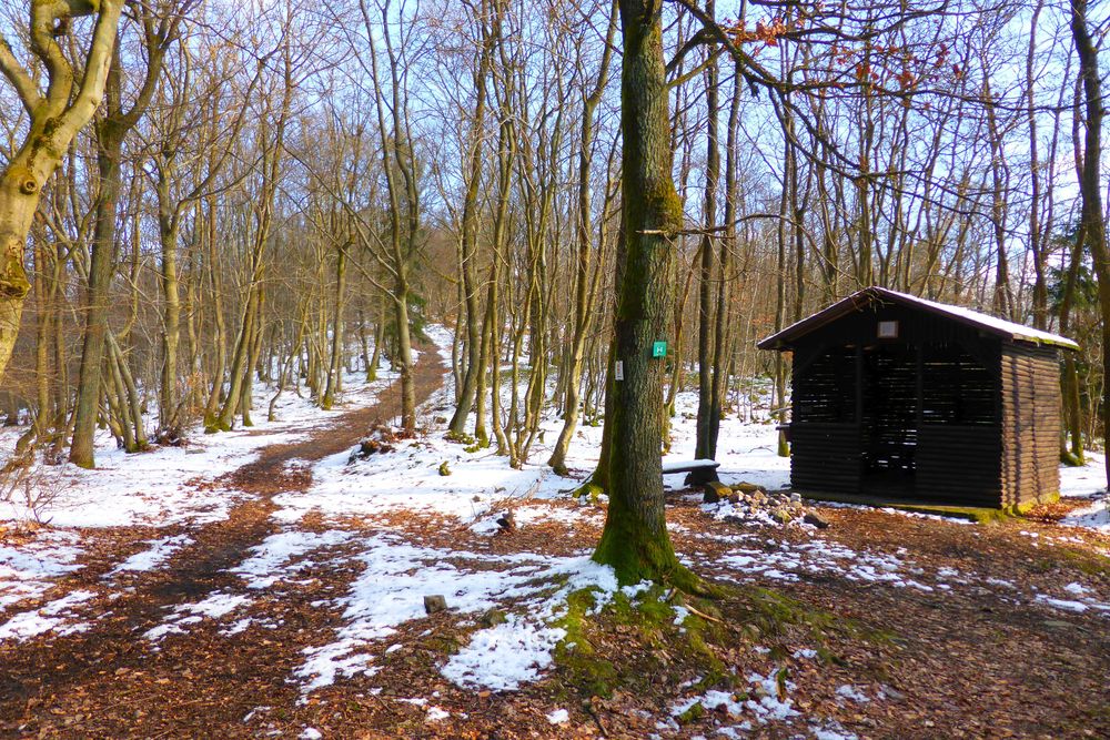 Soonwaldsteig   Zuweg Hennweiler 3 4doapd