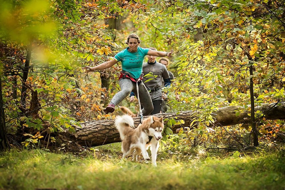 March of the Pack Horath 4h9utn