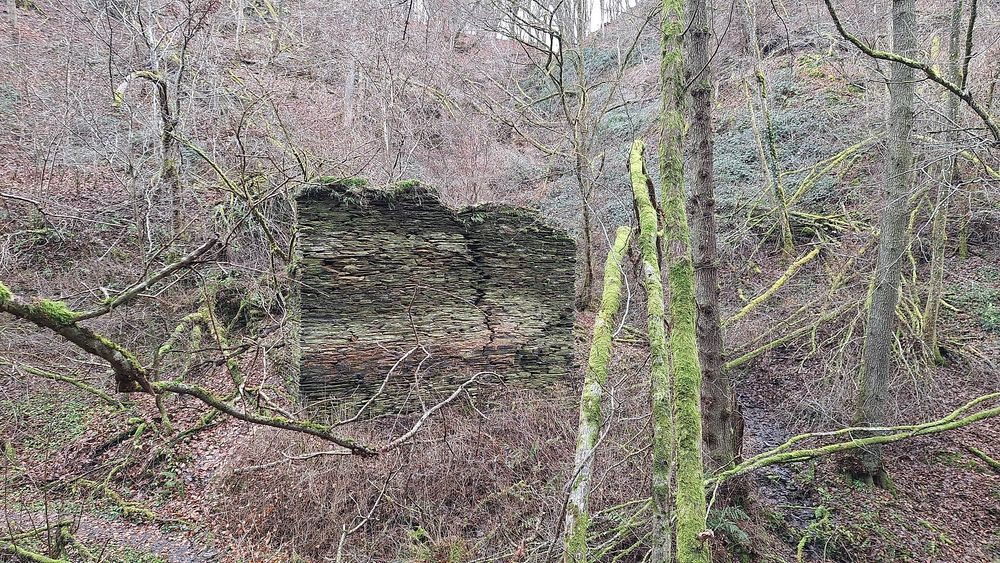 Mühlenruine an der Rauschenburg 4gs4xw