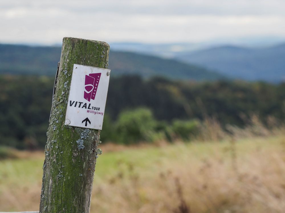Vitaltour Willigisweg 4j01pg